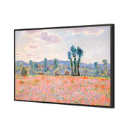 Poppy Field