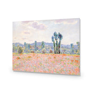 Poppy Field