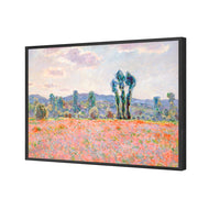 Poppy Field