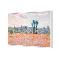 Poppy Field