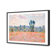 Poppy Field