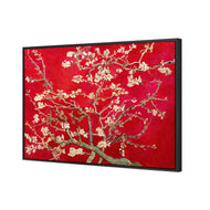 Vincent van Gogh - Blossoming Almond Tree Red