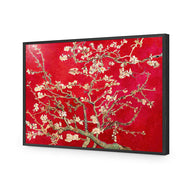 Vincent van Gogh - Blossoming Almond Tree Red