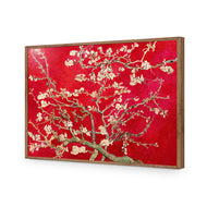 Vincent van Gogh - Blossoming Almond Tree Red