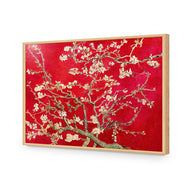 Vincent van Gogh - Blossoming Almond Tree Red