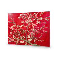 Vincent van Gogh - Blossoming Almond Tree Red