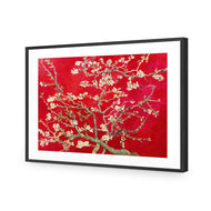 Vincent van Gogh - Blossoming Almond Tree Red