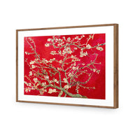 Vincent van Gogh - Blossoming Almond Tree Red