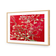 Vincent van Gogh - Blossoming Almond Tree Red