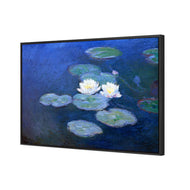 Monet - Water Lilies 7