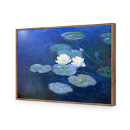 Monet - Water Lilies 7