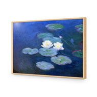 Monet - Water Lilies 7