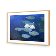 Monet - Water Lilies 7