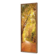 Autumn Pathway