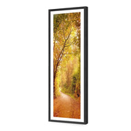 Autumn Pathway
