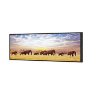 Elephant Trail