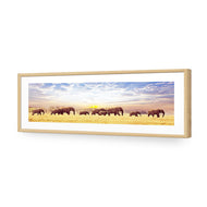 Elephant Trail