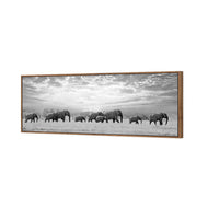 Elephant Trail , B&W