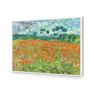 Poppy Field By Vincent Van Gogh