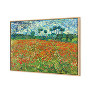 Poppy Field By Vincent Van Gogh