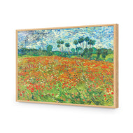 Poppy Field By Vincent Van Gogh