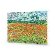 Poppy Field By Vincent Van Gogh