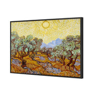 Van Gogh - Olive Trees