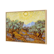 Van Gogh - Olive Trees