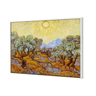 Van Gogh - Olive Trees
