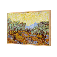 Van Gogh - Olive Trees