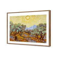 Van Gogh - Olive Trees