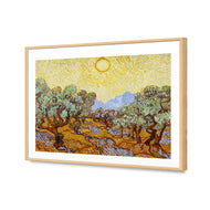 Van Gogh - Olive Trees