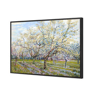 Van Gogh - The White Orchard