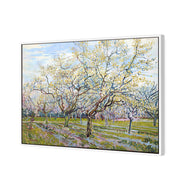 Van Gogh - The White Orchard