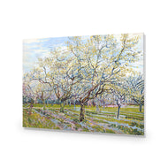 Van Gogh - The White Orchard