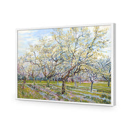 Van Gogh - The White Orchard