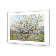 Van Gogh - The White Orchard