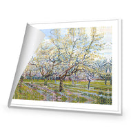 Van Gogh - The White Orchard