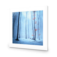 Blue Forest