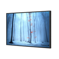 Blue Forest