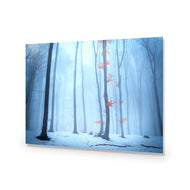 Blue Forest