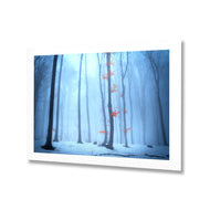 Blue Forest