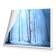 Blue Forest