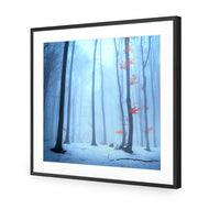 Blue Forest