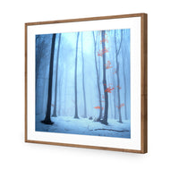 Blue Forest