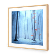 Blue Forest