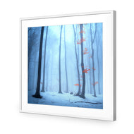 Blue Forest