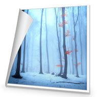 Blue Forest