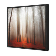 Forest of Fire