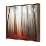 Forest of Fire